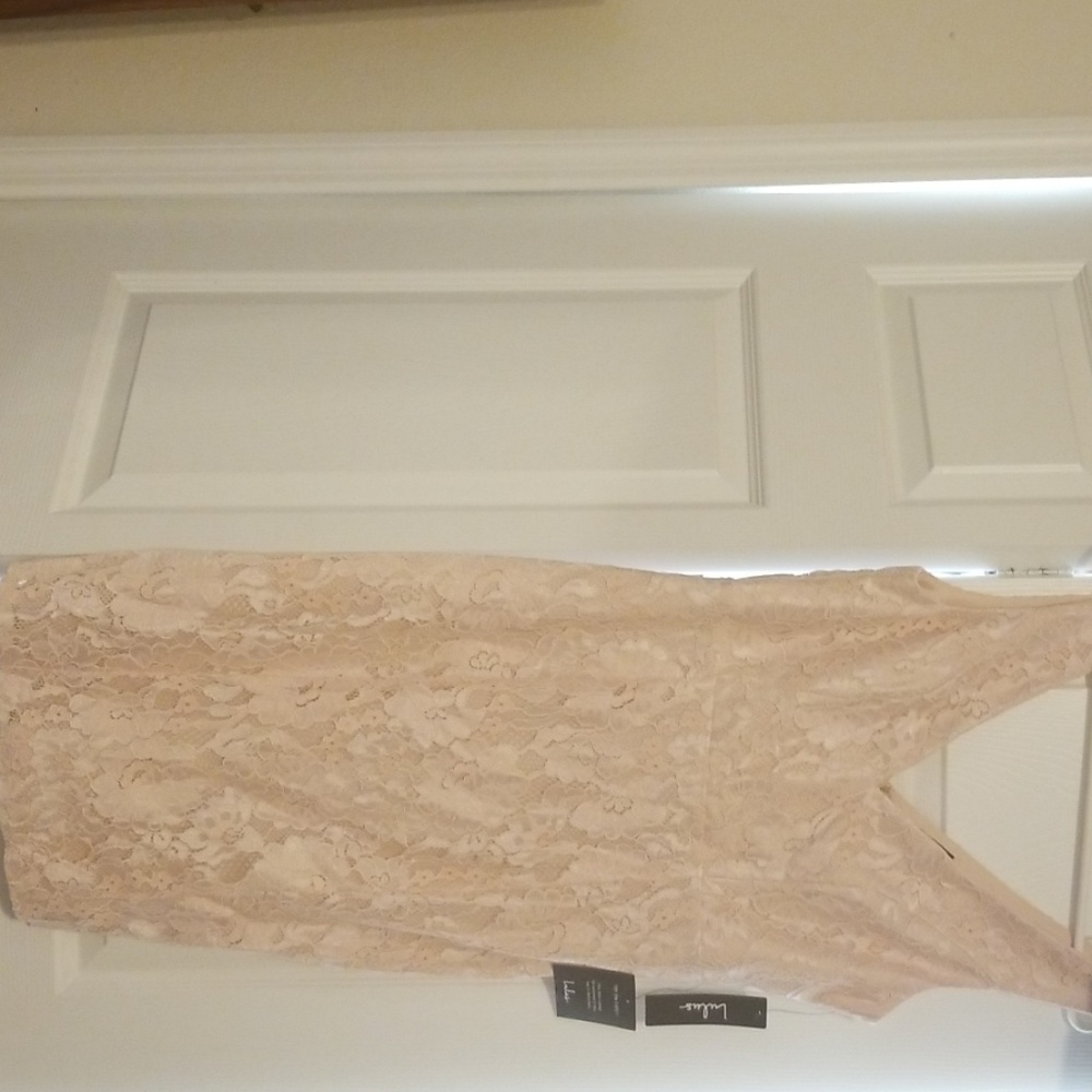 lulus blush lace dress